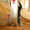 Mur de sauvetage pour silo à grains – Image 2