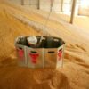 Mur de sauvetage pour silo à grains – Image 5
